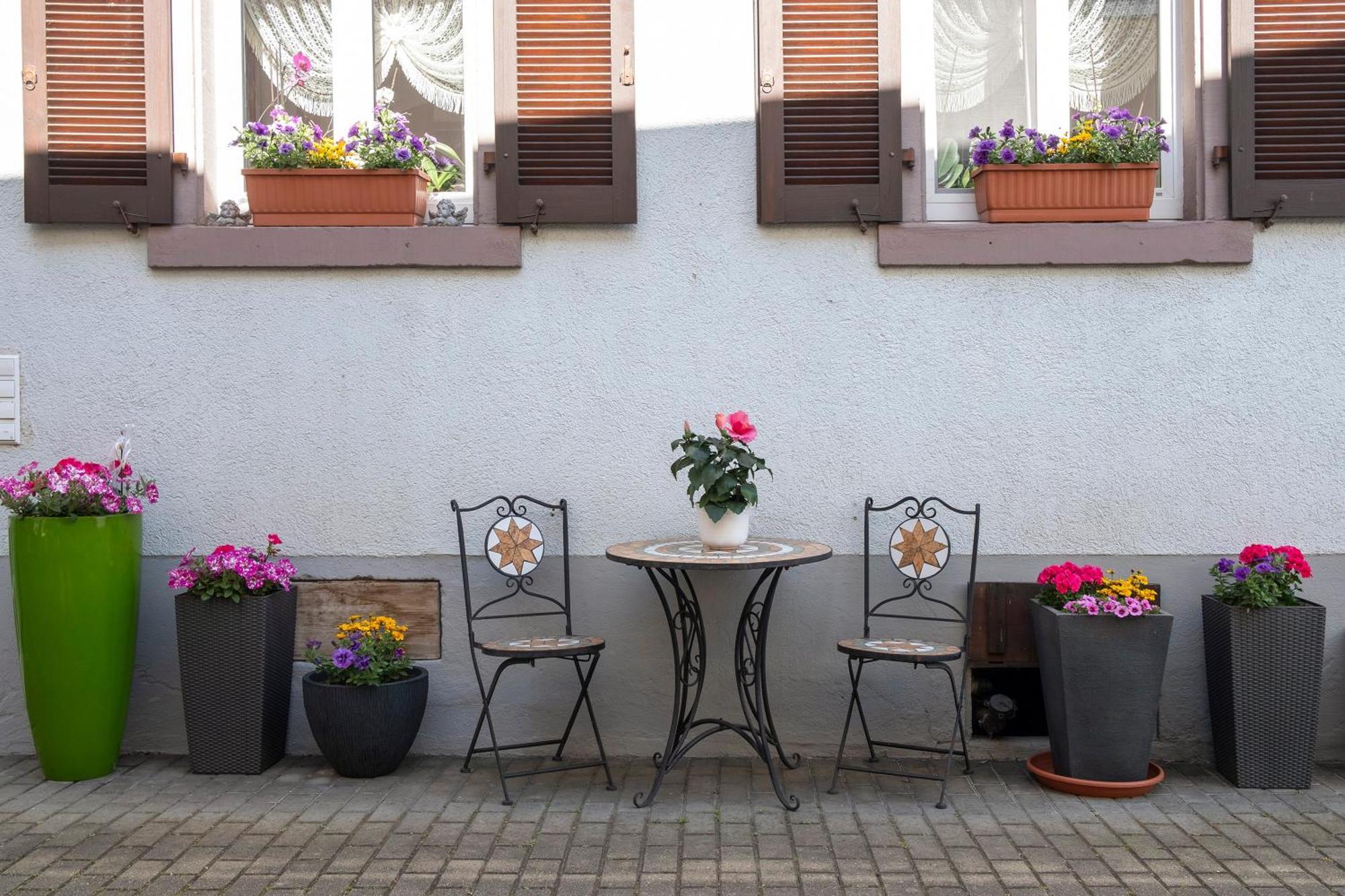 Ferienwohnung Fliegerhorst Endingen am Kaiserstuhl Екстер'єр фото