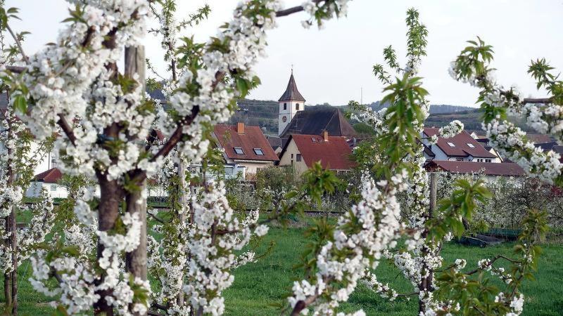 Ferienwohnung Fliegerhorst Endingen am Kaiserstuhl Екстер'єр фото